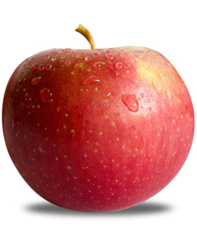 EverCrisp apple