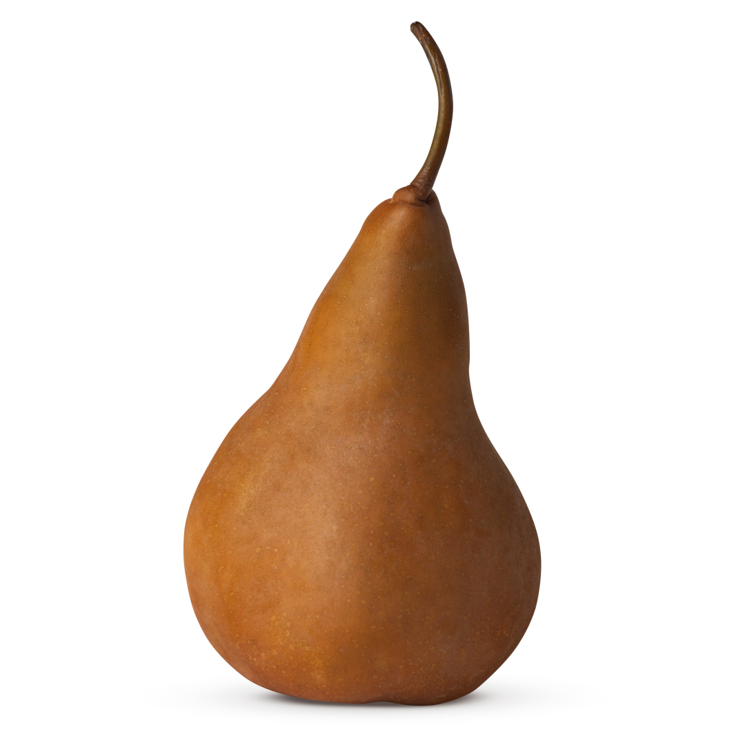 Organic Golden Russet Bosc pear