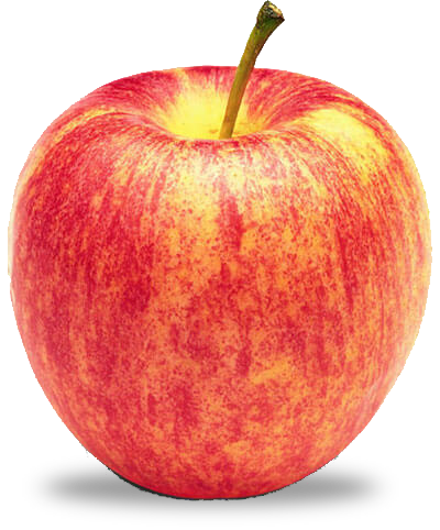 Organic Gala apple