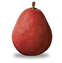 Organic Red Anjou pear